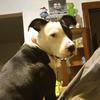 Victor Handy - @victor.handy - TikTok