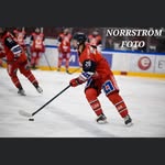 Victor hanson - @viggehanson - Instagram