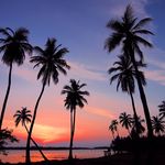 Victor Hardman - @victorhardman9 - Instagram