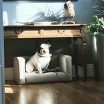 Victor Harvey - @victor.harvey_ - Instagram