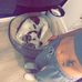 Victoria Hassell - Facebook