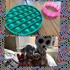victoriahatch998 - @beanieboofidgets - TikTok