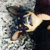 victor_headout - @victor_headout - TikTok