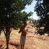Victor Leiter - @victorhead0 - TikTok