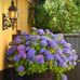 Victor Hendrickson - Facebook