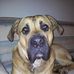 Victor Herbert - Facebook