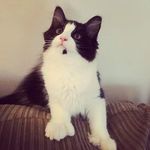 Victor Herring - @victor.herring.946 - Instagram