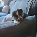 Victor Hierro - @victor.hierro.942 - Instagram