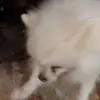 Victor Hierro - @victor.hierro7 - TikTok