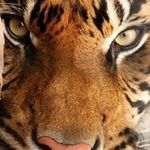 Victor Higgins - @spacecowboy342 - Instagram
