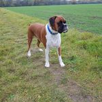 Victor Higgins - @victorhiggins2 - Instagram