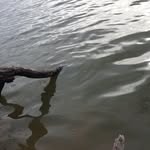 VictorHitemup - @victor_b0965 - Instagram