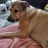 Victoria Holcomb. vickie - @victoria.holcomb - TikTok