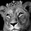 🖤✨ال لبوووووة🐆 - @victorholm - TikTok