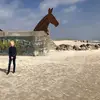 victor holm - @victor.holm6 - TikTok