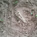 victor holm olsen - @victor_holm_4444 - Instagram