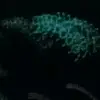 Victor Holt - @victorholt1986 - TikTok