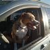 Victoria Holtz - Facebook