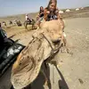 victoria - @victoria.hooperr - TikTok