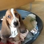 Victor Husted - Facebook