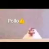 VAICTORAITO🥵🤑 - @victorito.0 - TikTok