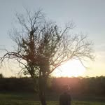 Victor Jacinto - @victorjacinto68 - Instagram