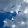 Victoria Jacobs - @victoria.jacobs91 - TikTok