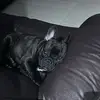 Victor Jansen - @victor.jansen40 - TikTok