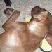 Victor Jerome - Facebook