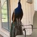 Vic Jeter - Facebook