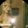 Victor Joel - @victor.joel77 - TikTok