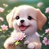Victor Joel - @teslapets - TikTok