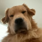 Victor Jung Xettri - @victor_jung_xettri - Instagram