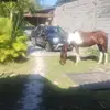 Victor Karim - @victor.karim6 - TikTok