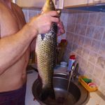 Виктор Касперович - @victorkasperovich62 - Instagram