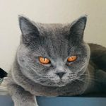@victor.kaspereit_ - Instagram