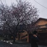 victor kato - @vic.kato - Instagram