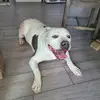 victorkoivisto - @victorkoivisto - TikTok