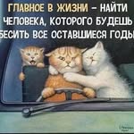 Виктор Козлов - @victorkozlovan - Instagram