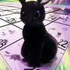 victorkris - @user3109948400192 - TikTok