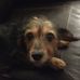 Victor Krueger - Facebook