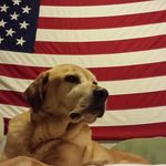 Victor Krueger - @krueger.victor - Instagram