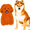 DogeMeal's - @victorkwan23 - TikTok