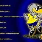 Victor Labastida Ramirez - @victorlabastidaramirez - Instagram