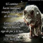 victorlabastida - @victorlabastida8 - Instagram