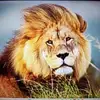 Victor Lagardere - @victor.lagardere - TikTok