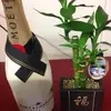 Victor Lay - @victor.lay6 - TikTok