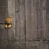 Victor Leroux - @victor.leroux6 - TikTok