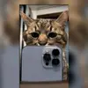 victor lesh 123456743795333456 - @user2865088254780 - TikTok