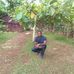 Victor Lesperance - Facebook